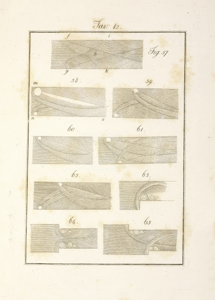 Tavola 12 1828