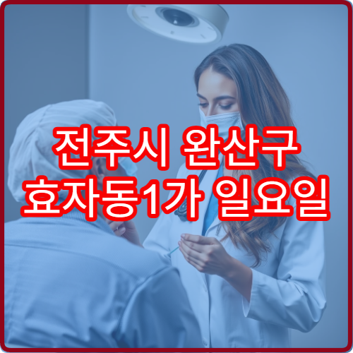 전주시 완산구 효자동1가 일요일 진료 소아청소년과 아이 발열 진료