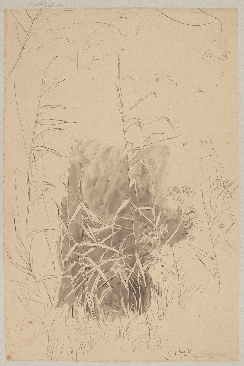 Study of Grass 1870