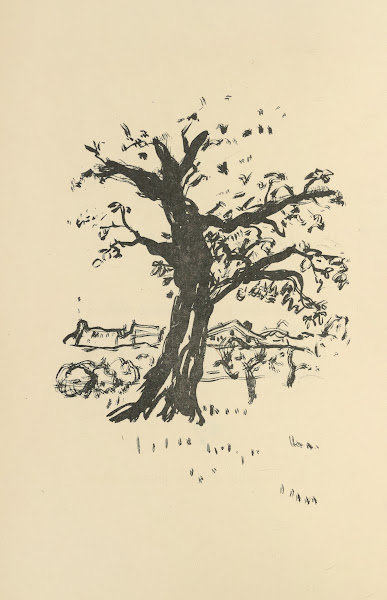 Histoires naturelles Pl 56 1922