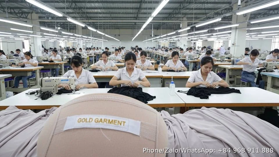 Hosiery Garment Manufacturing - Gold Garment Vietnam