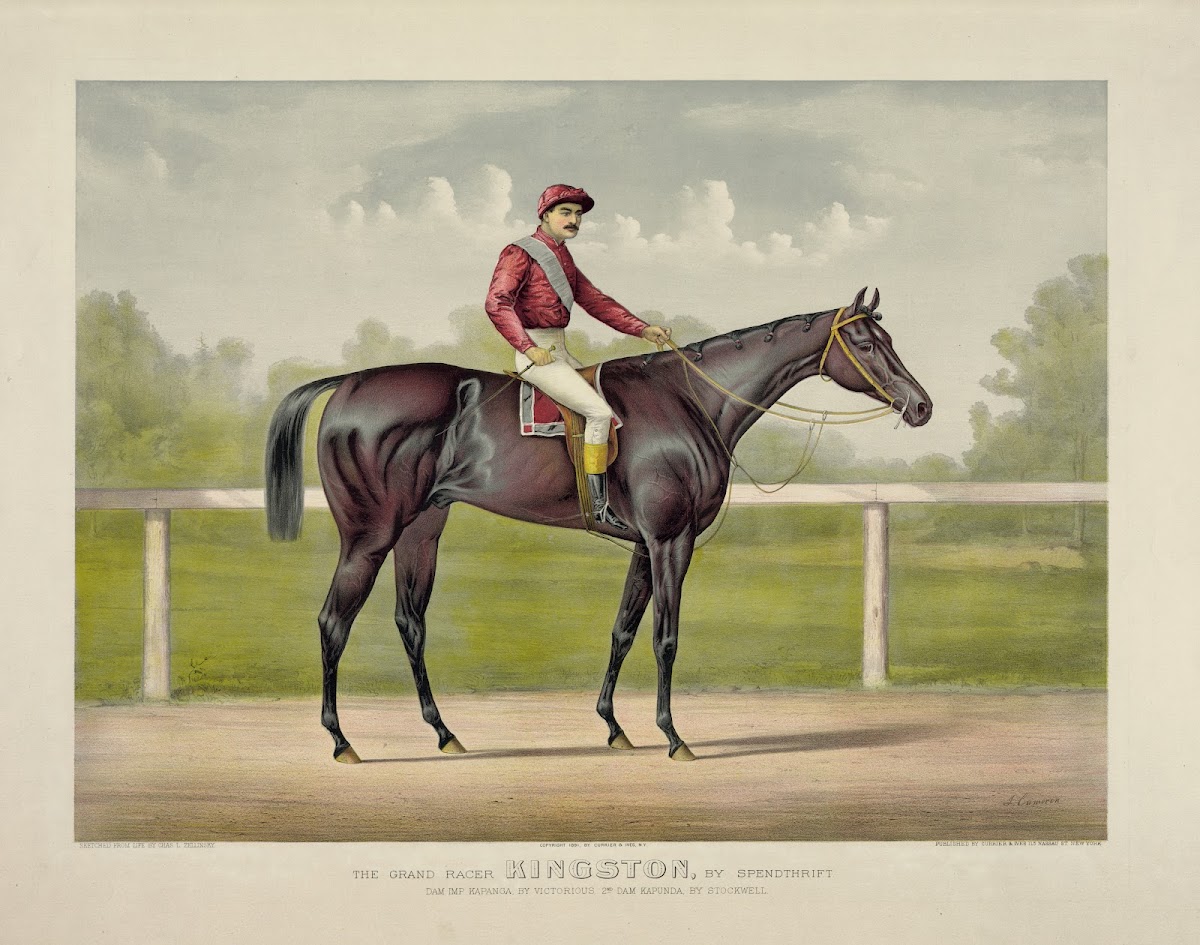 Grand racer Kingston by Spendthrift dam imp Kapanga by Victorious 2nd dam Kapund