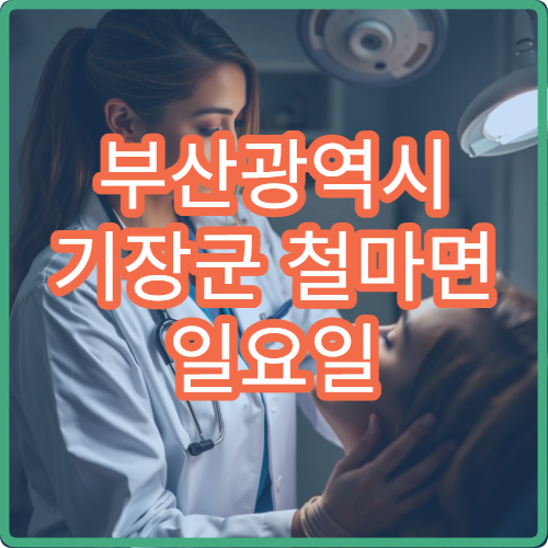 부산광역시 기장군 철마면 일요일 비염 이비인후과 진료 가능