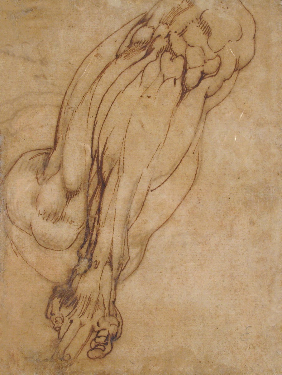 Study of a Leg 14751564