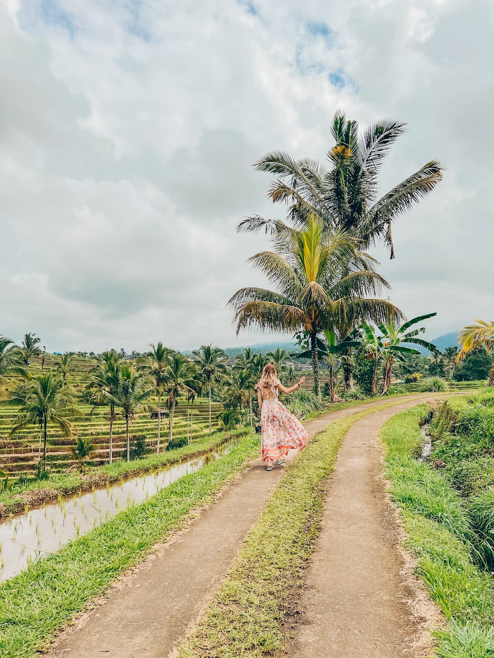 Tarasy ryżowe na Bali