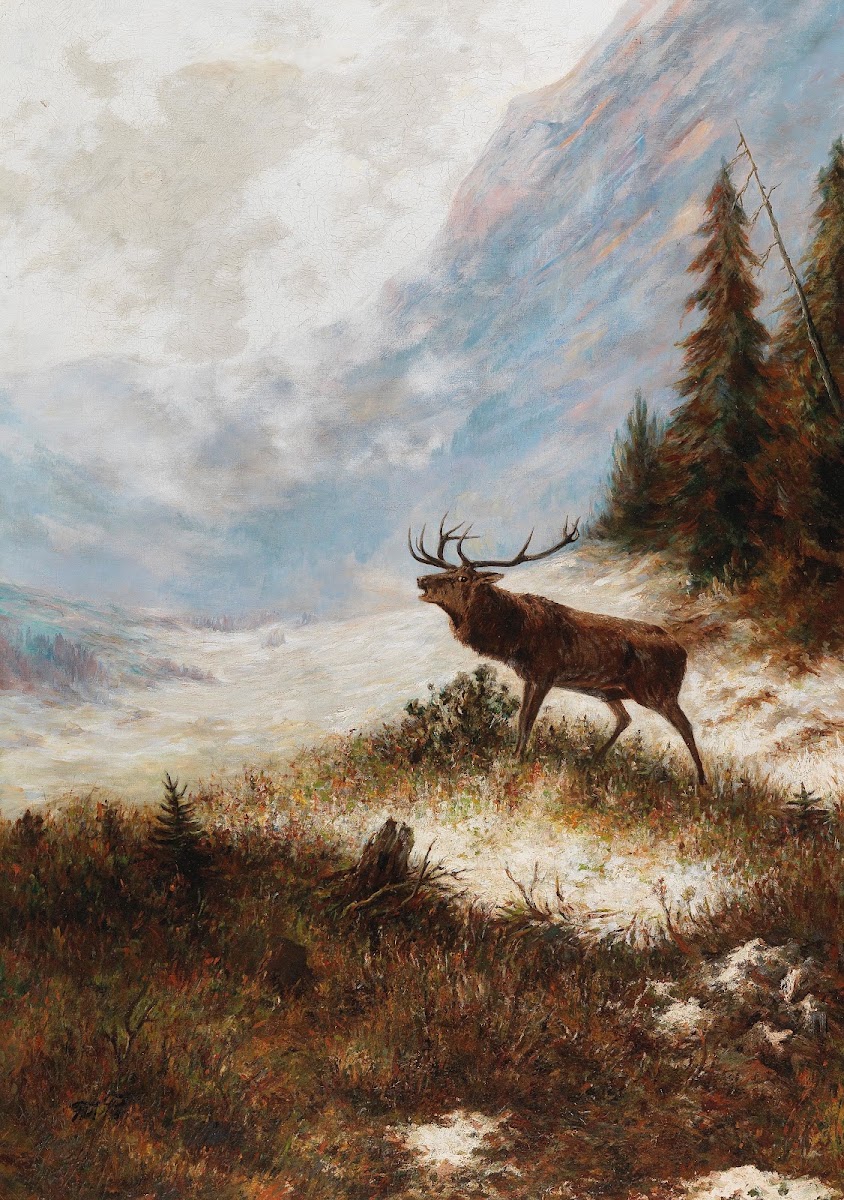 Bellowing Stag in a Winter Landscape