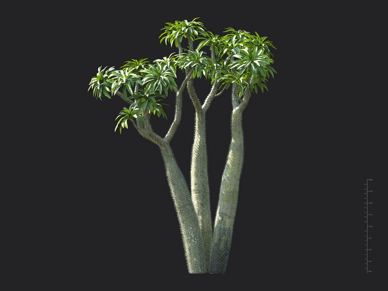 Maxtree - Plant Models Vol.130