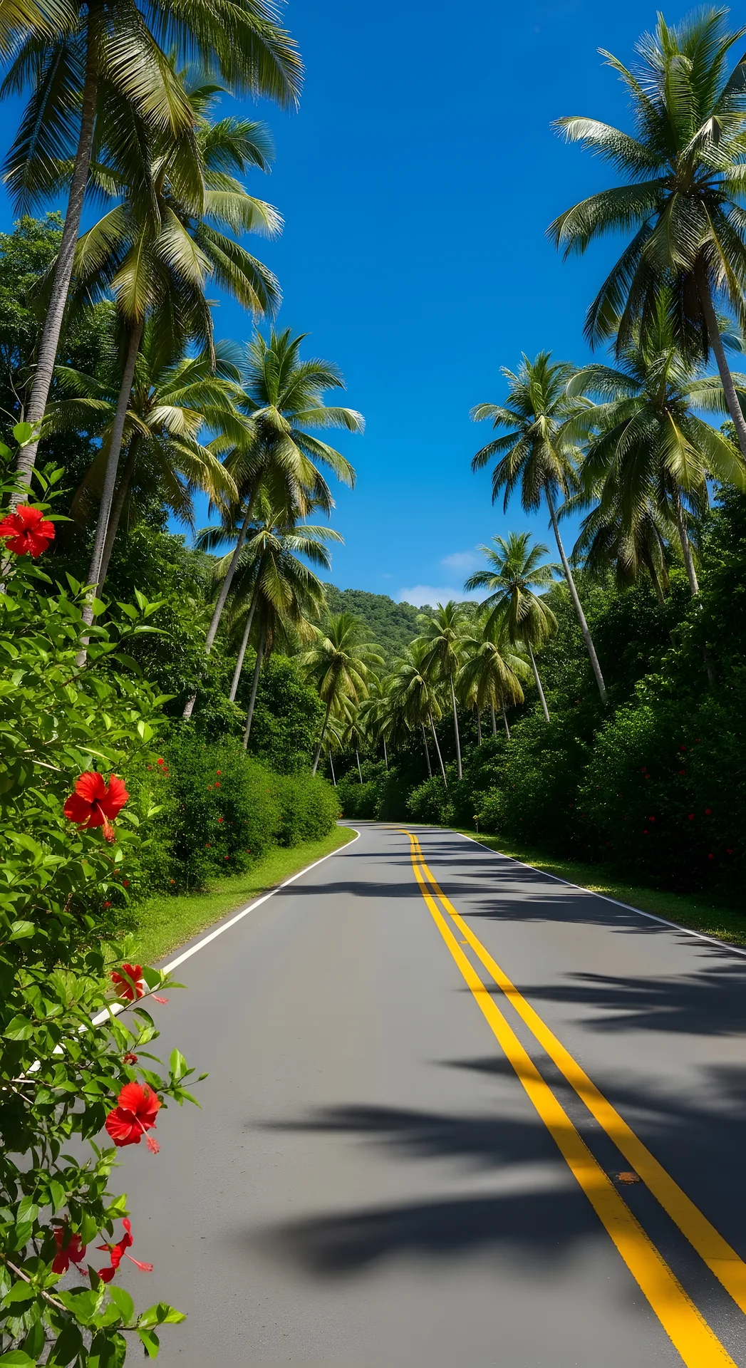 Sunny Tropical Drive Under Blue Sky Framed by Palm Trees - Free 4K mobile Wallpaper
