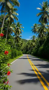 Sunny Tropical Drive Under Blue Sky Framed by Palm Trees