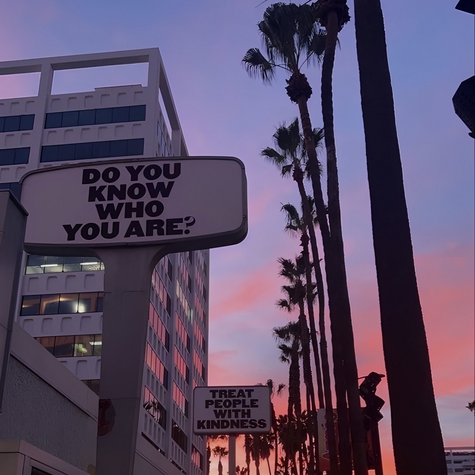 Download Inspirational Signs Along Palm Street Full HD iPhone