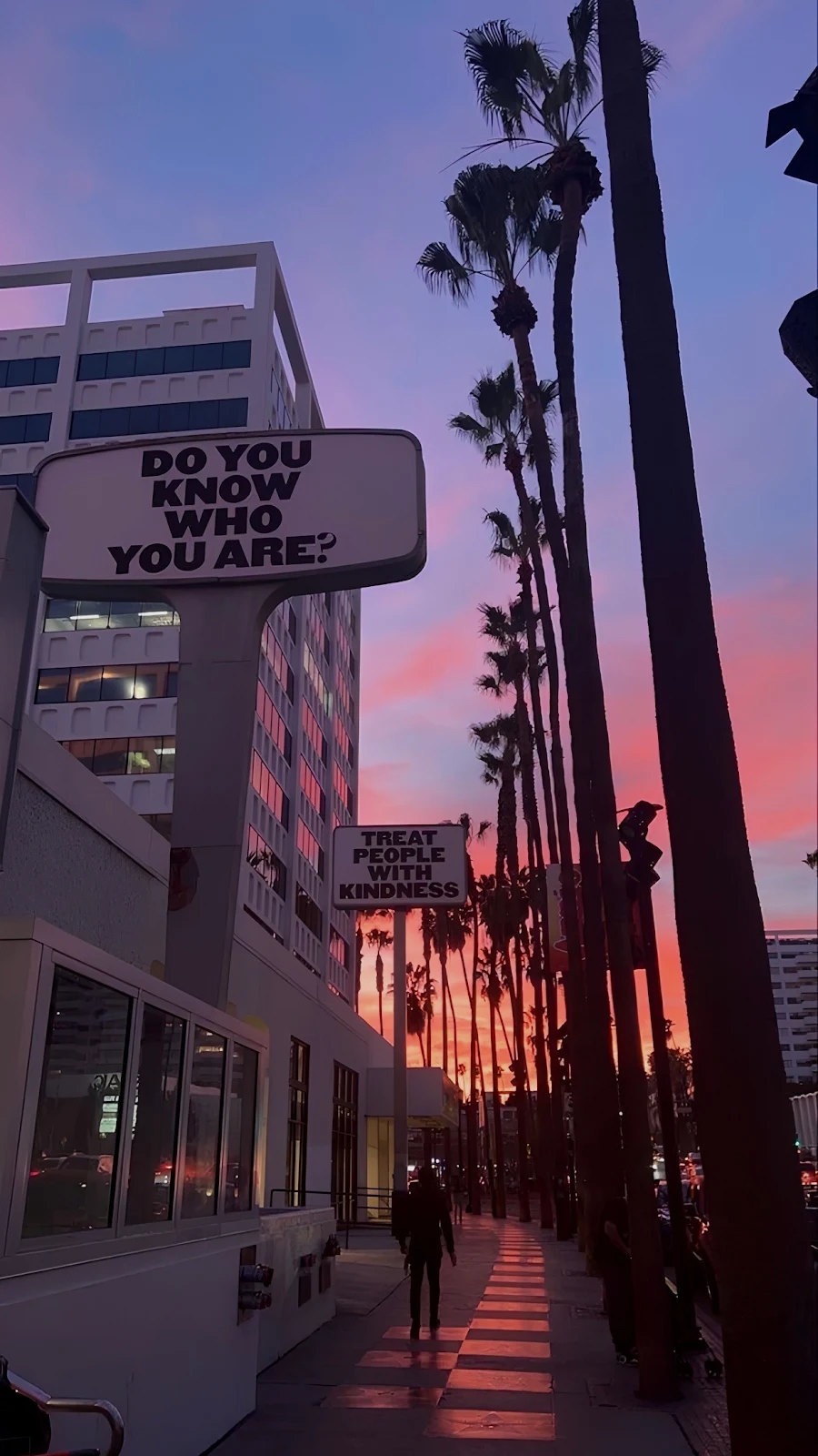 Inspirational Signs Along Palm Street - Urban Sunset Photography Full HD iPhone Wallpaper (1232x2190)