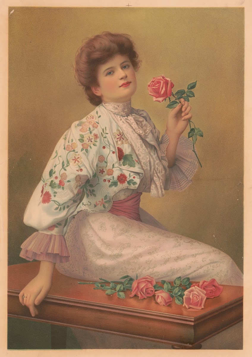 American beauties 1890