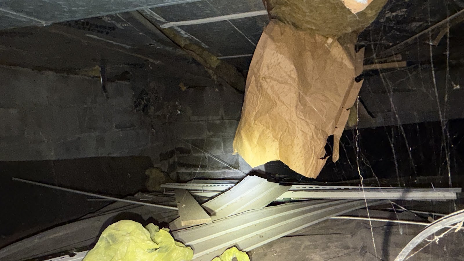 Copy of IMG_2026-03-13_14-48-17_450.jpg