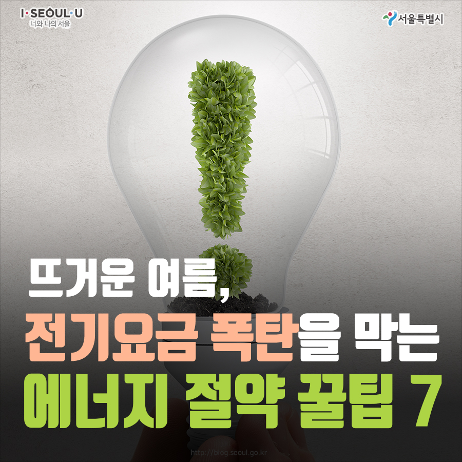 섹션 1 이미지