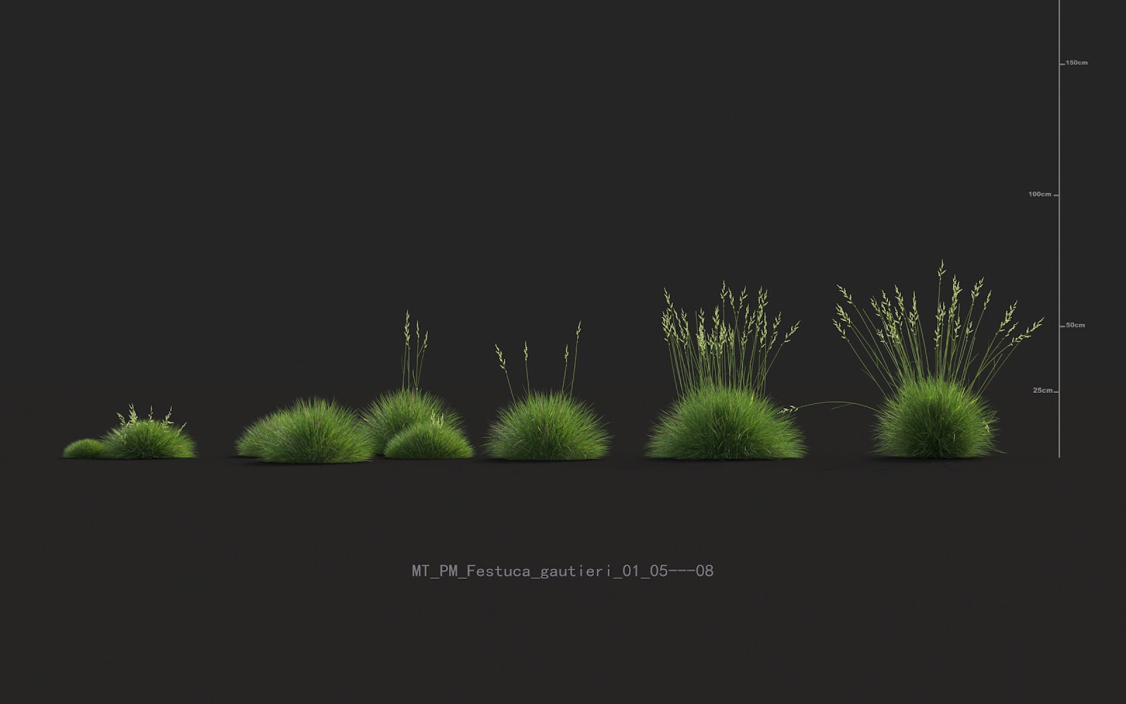 Maxtree - Plant Models Vol.20