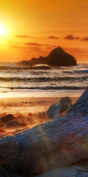Coastal Sunset, Beach Landscape, Driftwood, Ocean Waves 4K Wallpaper Background