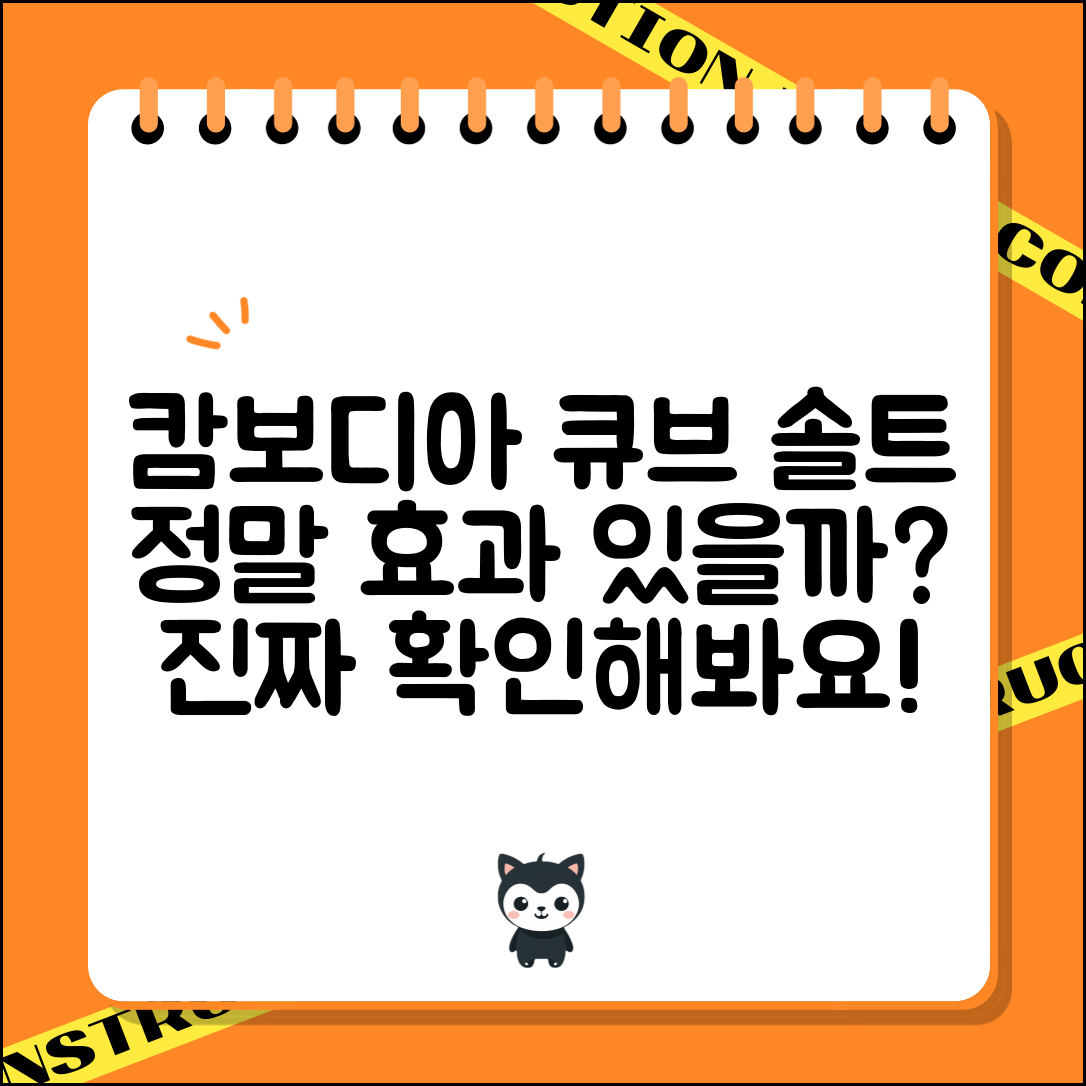 캄보디아큐브솔트, 진짜 효과가 있을까요?