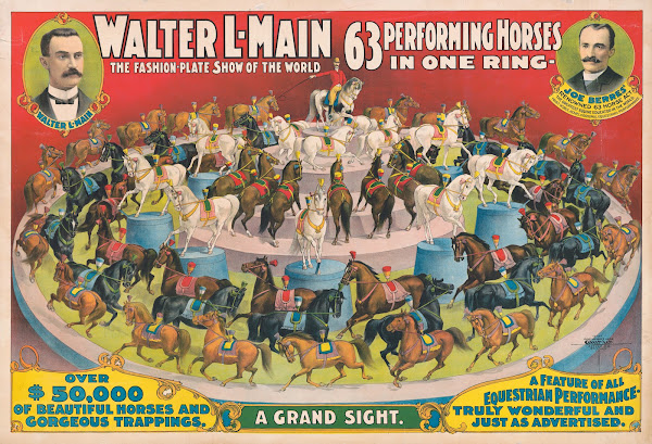 Walter L Main  63 Performing horses in one ring 1899