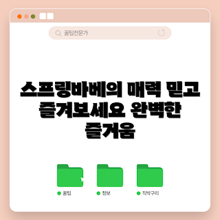 스프링바베가본드 매력, 스프링바베가본드 리뷰, 왜 스프링바베가본드를 선택해야 할까, 스프링바베가본드 특징