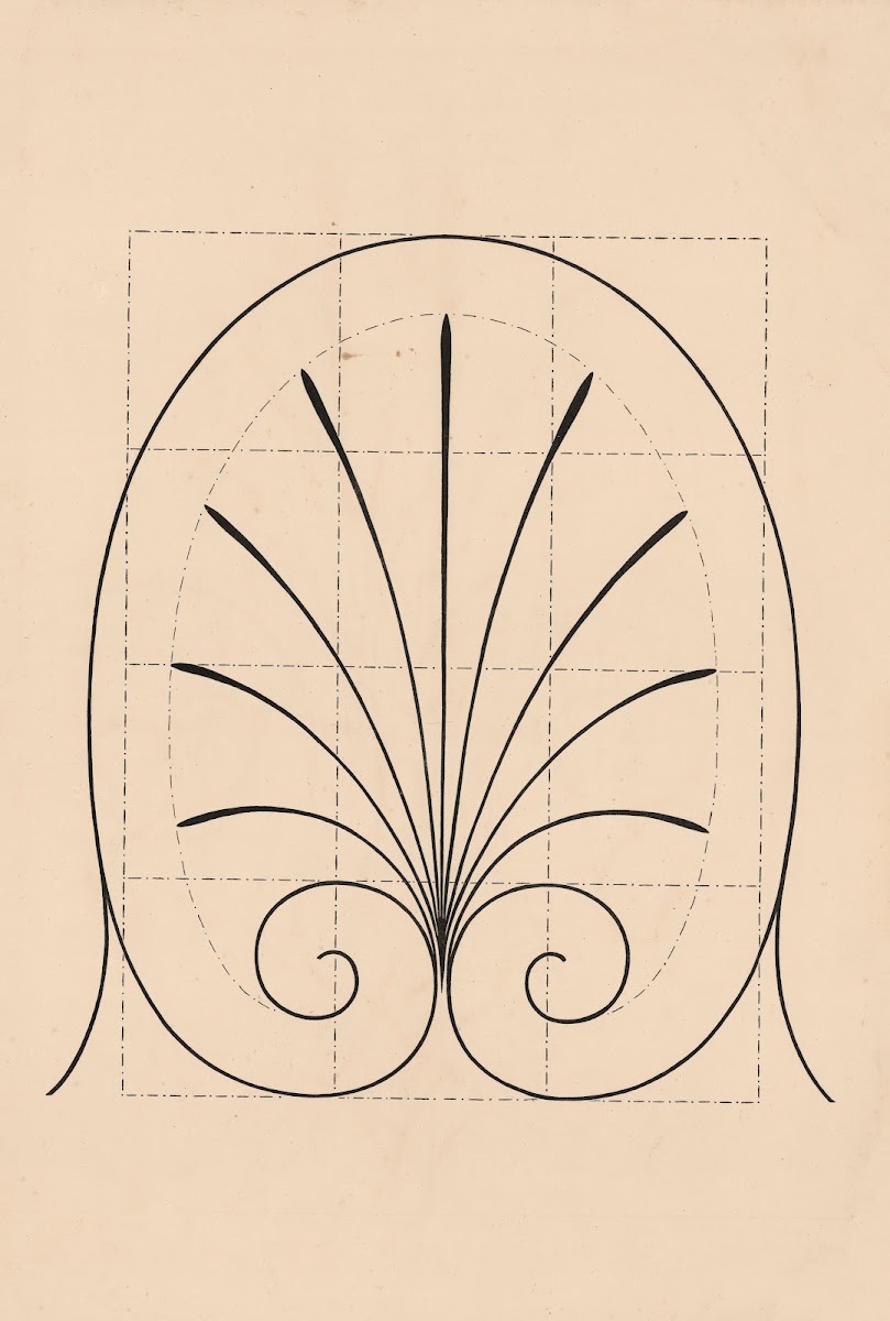 Other lily like motif 1880