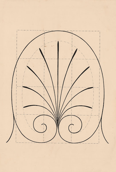 Other lily like motif 1880