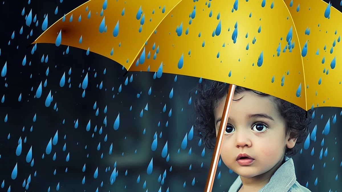 예금자 보호 제도의 정의와 가입 시 주의할 점