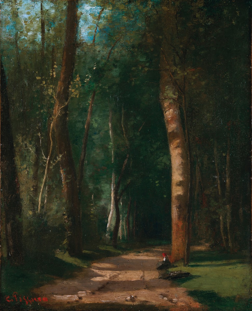 Allée Dans Une Fôret