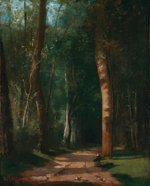 Allée Dans Une Fôret