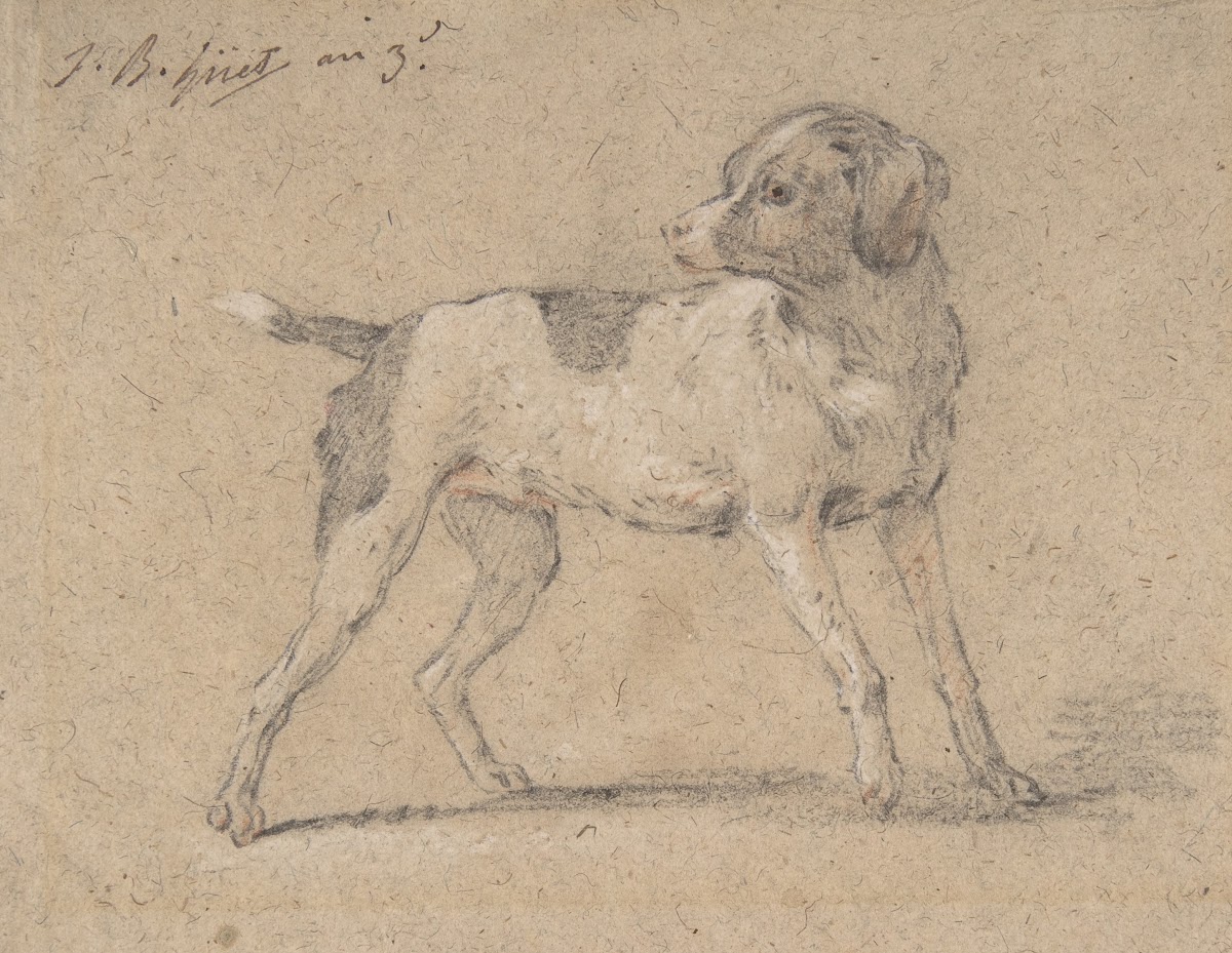 Black and White Dog Head Turned to the Left 179495