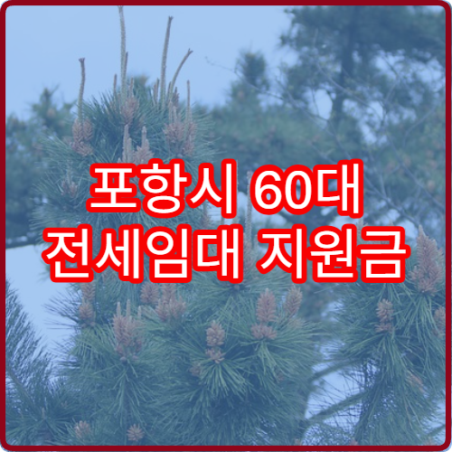 포항시 60대 전세임대 지원금 2026 확대 신청 조건
