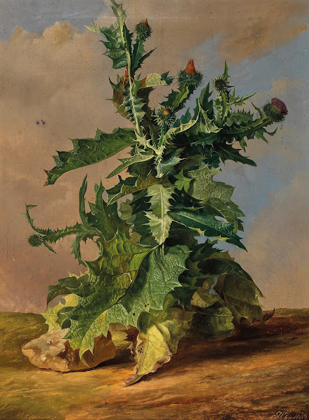 Thistles 1844