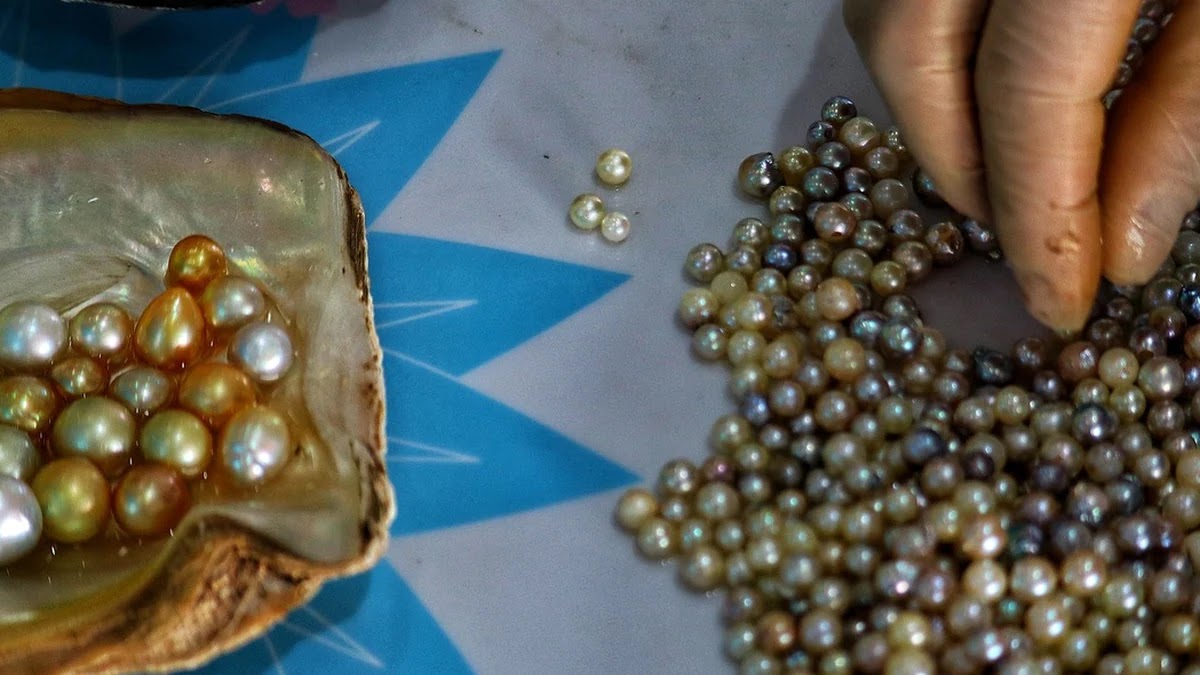 퀵정렬과 병합정렬 알고리즘 동작원리 비교