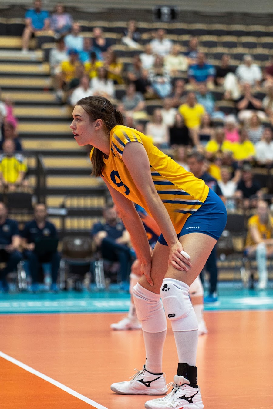 Sweden Hungary 277