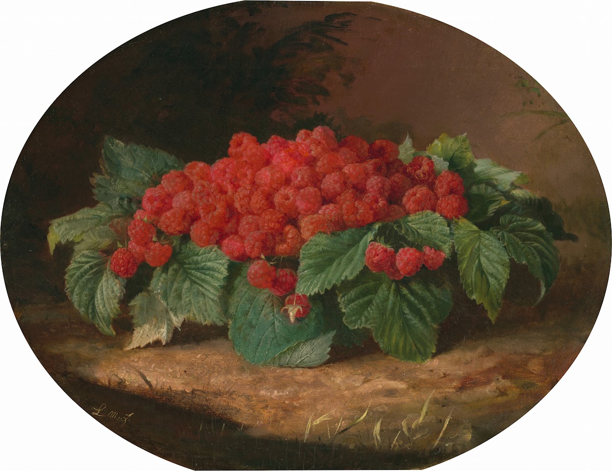 Raspberries c 1859