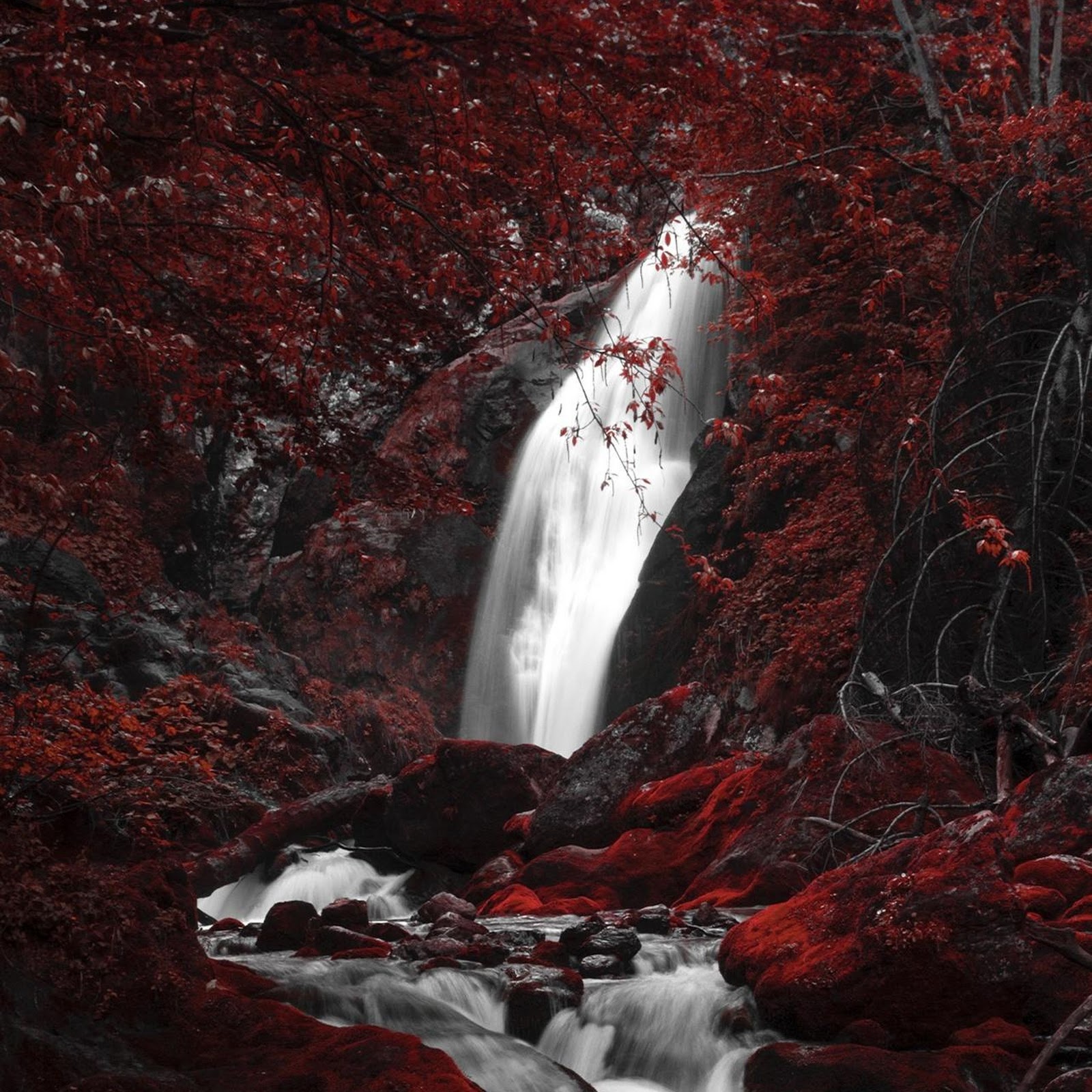 Download Waterfall Through Dark Red Forest Full HD iPhone