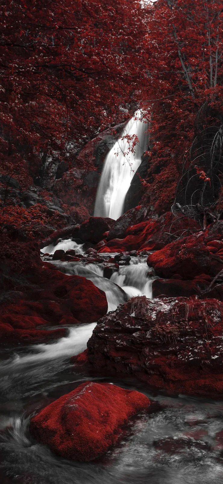 Waterfall Through Dark Red Forest - Stylized Nature Photography Full HD iPhone Wallpaper (1284x2778)