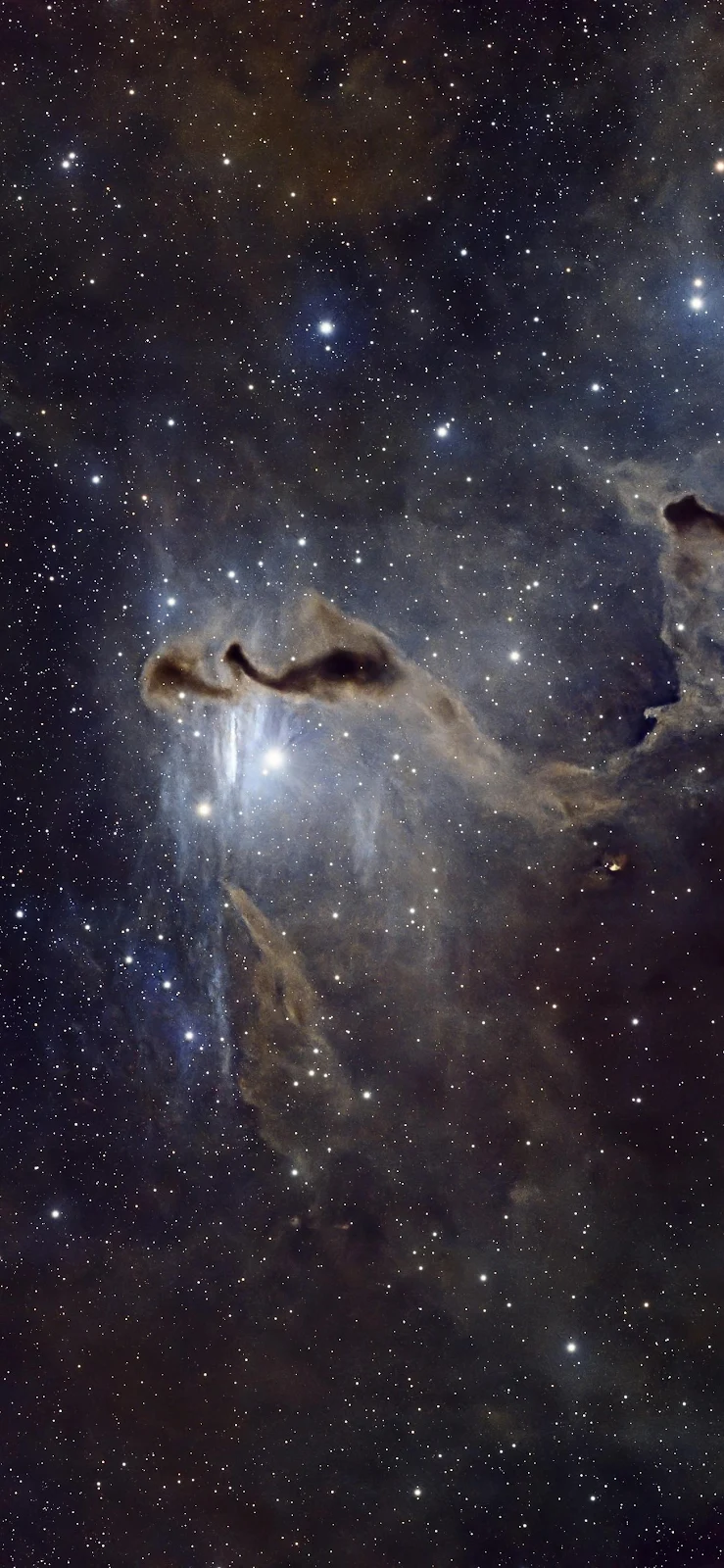 Dark Cosmic Dust And Bright Stars - Astrophotography Full HD iPhone Wallpaper (1305x2827)