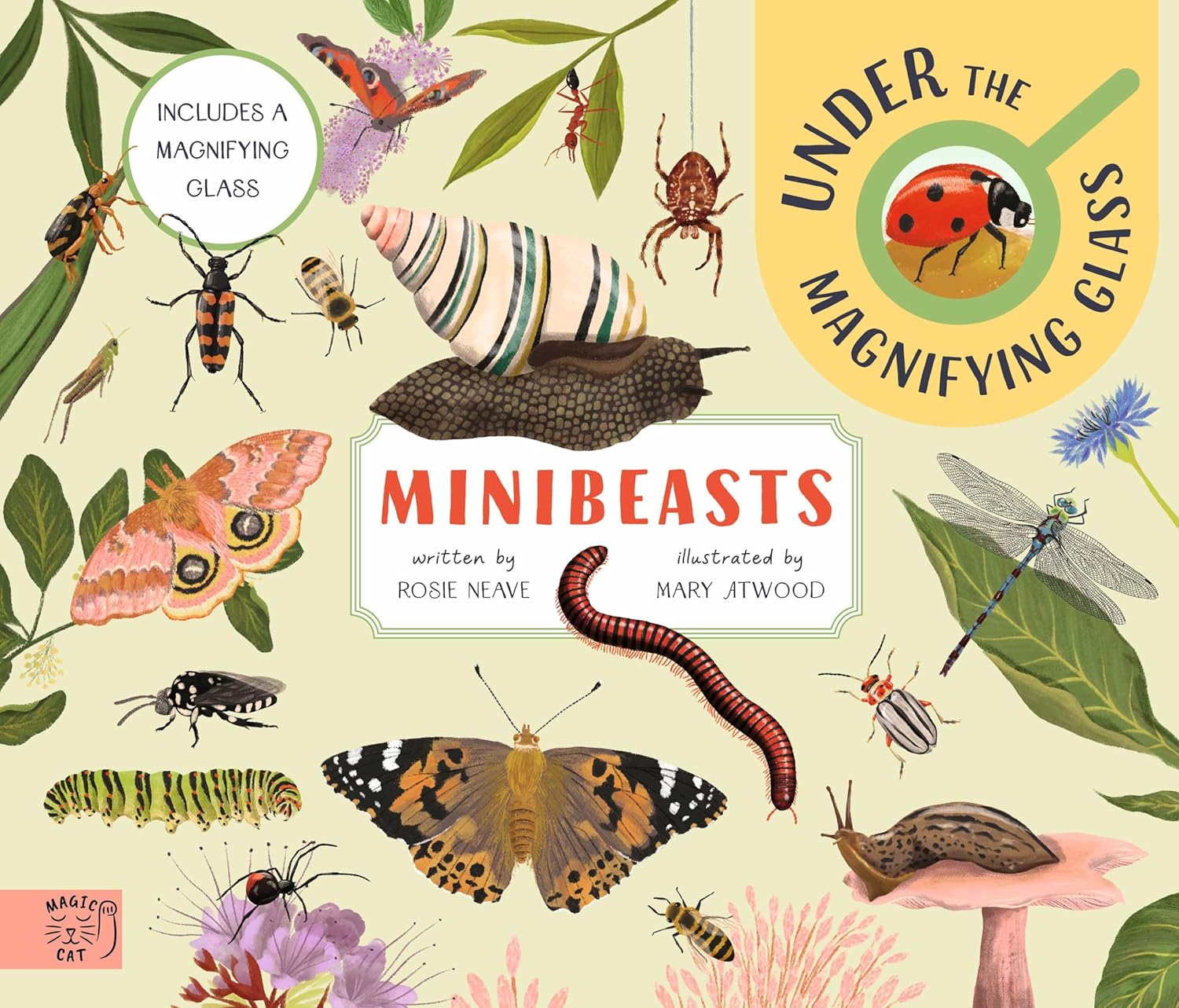 Minibeasts: Under the Magnifiying Glass