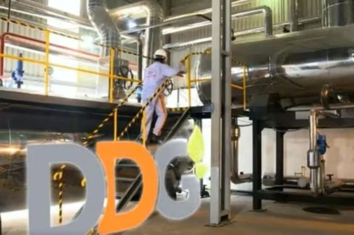DDG đứng trước nguy cơ hủy niêm yết do thua lỗ - Đài Phát thanh và truyền hình Hà Nội