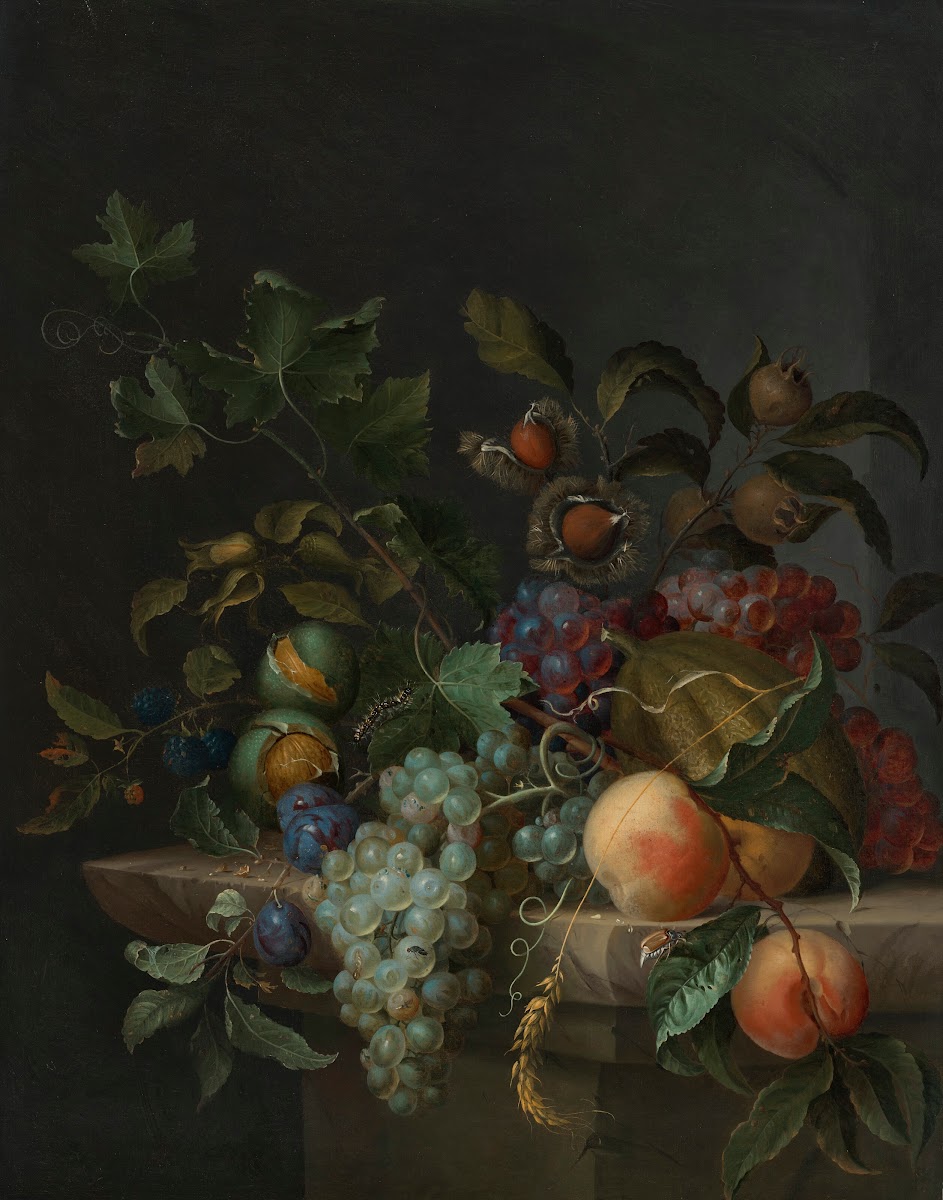 Grapes peaches plums blackberries rosehips a melon an ear of barley a vine tendr