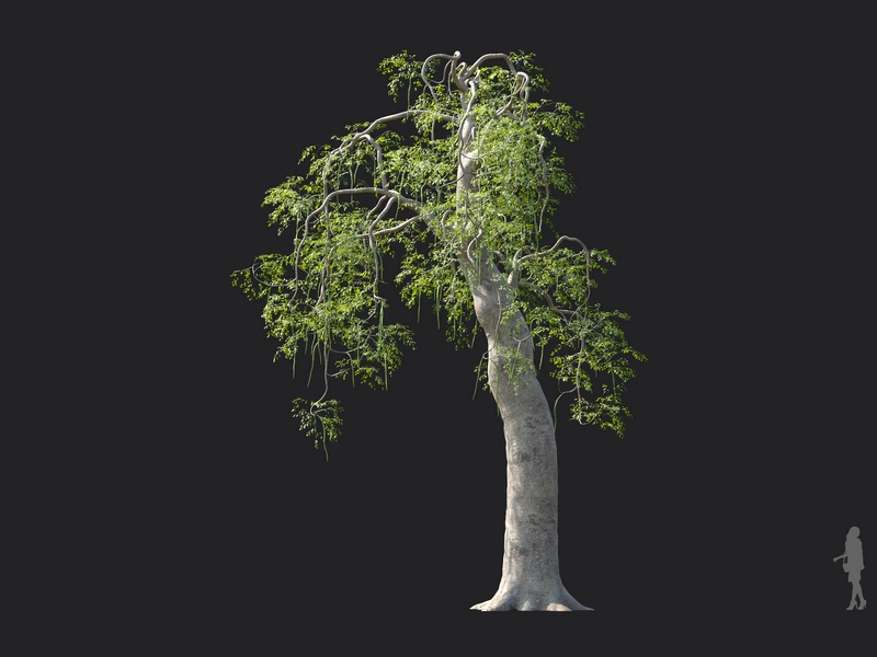 Maxtree - Plant Models Vol.130