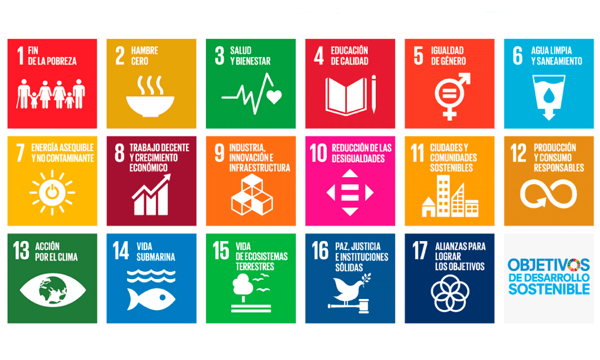 AFIHS convoca a líderes globales en un foro sobre sostenibilidad y cooperación internacional