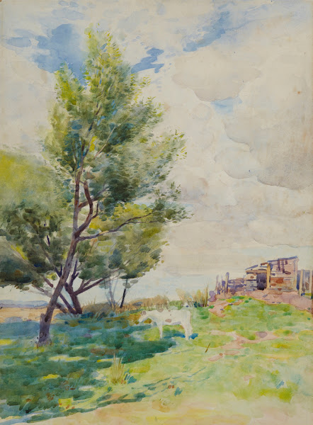Hutt Valley landscape