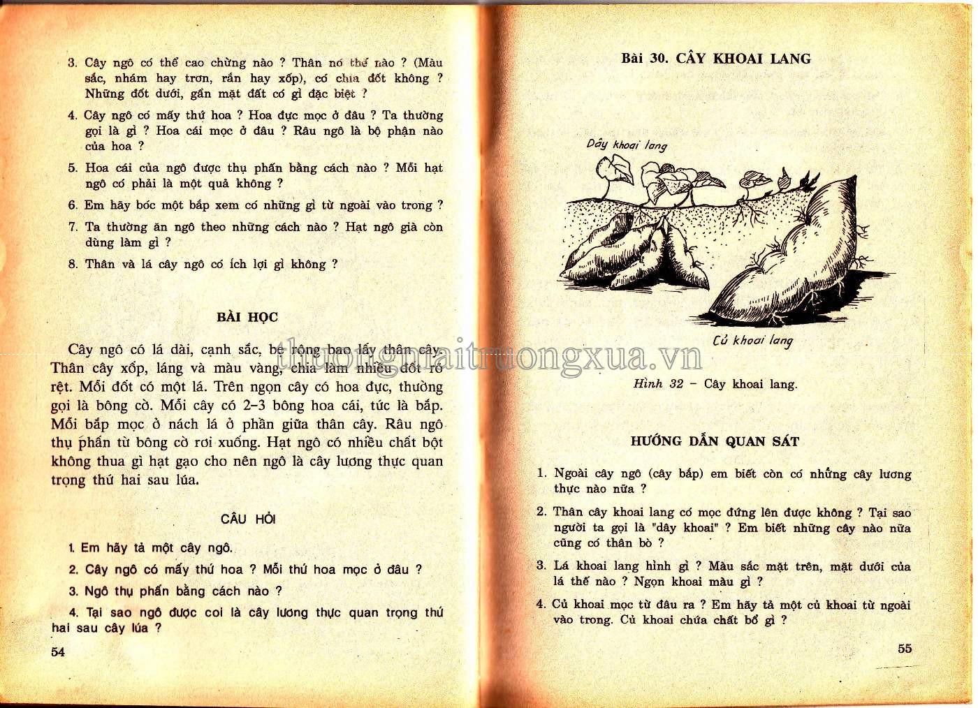 Khoa hoc thường thức 4 (1995) - Trang 28