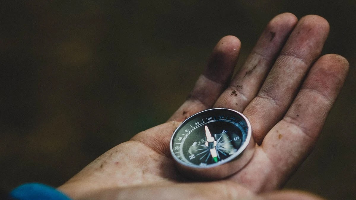 직관적 투자 결정 시 인지 편향이 수익률에 미치는 영향 분석
