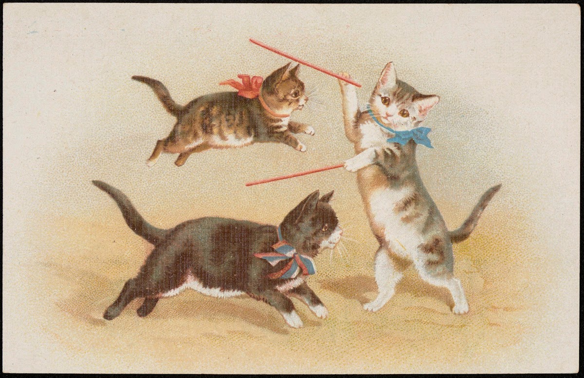 Three cats playing with sticks 1913 1924