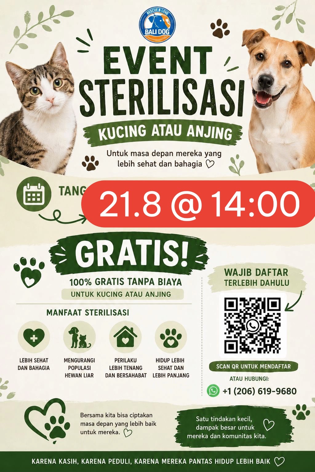 Free Sterilization Event for Cats & Dogs — Bali Dog Rescue & Love