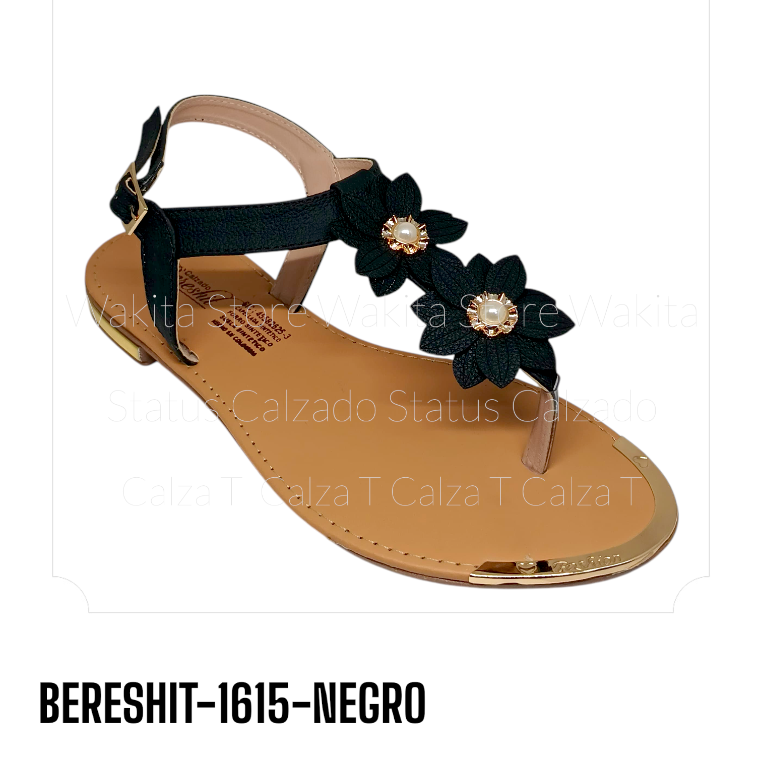 BERESHIT-1615-NEGRO