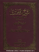 Sharah Al-Thameeri  02 By Hazrat Molana thameer ud Deen Qasmi PDF