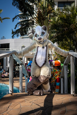 furdu-03865.jpg